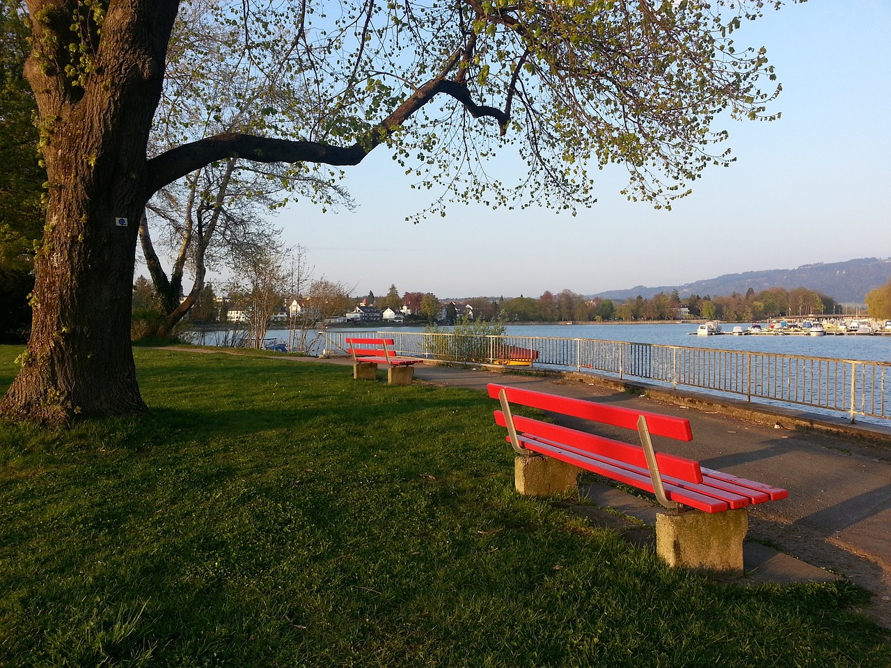 助主教練鼓 助主教練鼓