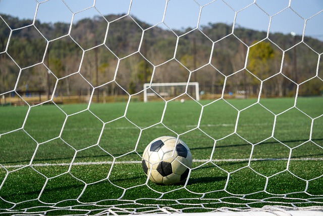 第十二人 第十二人