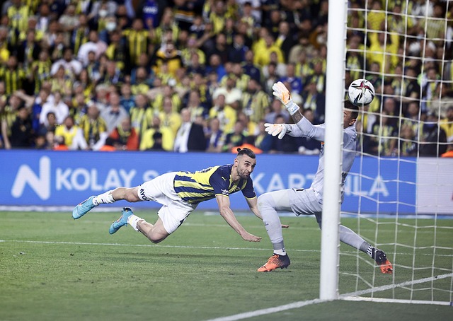 更多类似的 更多类似的