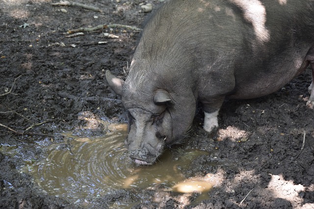 队在关键时 队在关键时