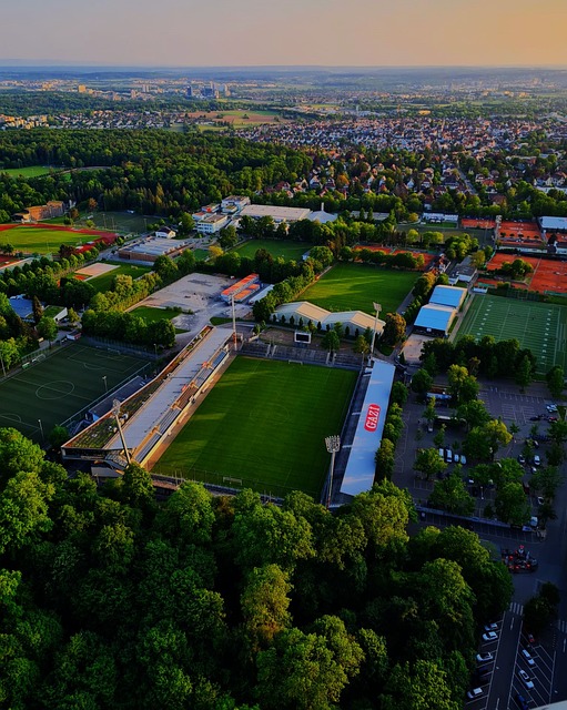 学习提供了 学习提供了